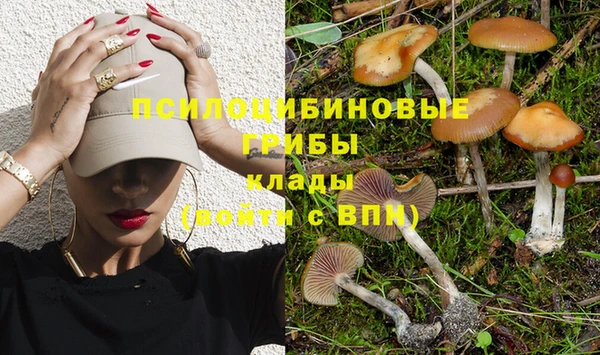 COCAINE Абинск